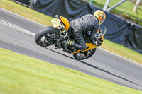 Oulton-Park-14th-March-2020;PJ-Motorsport-Photography-2020;anglesey;brands-hatch;cadwell-park;croft;donington-park;enduro-digital-images;event-digital-images;eventdigitalimages;mallory;no-limits;oulton-park;peter-wileman-photography;racing-digital-images;silverstone;snetterton;trackday-digital-images;trackday-photos;vmcc-banbury-run;welsh-2-day-enduro